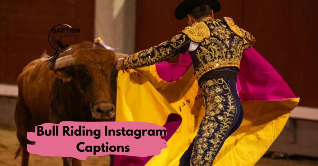 Bull Riding Instagram Captions