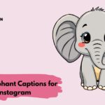 Cute Elephant Captions for Instagram