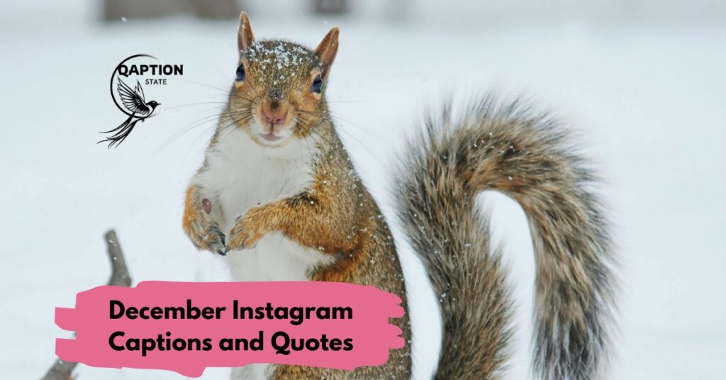 December Instagram Captions and Quotes