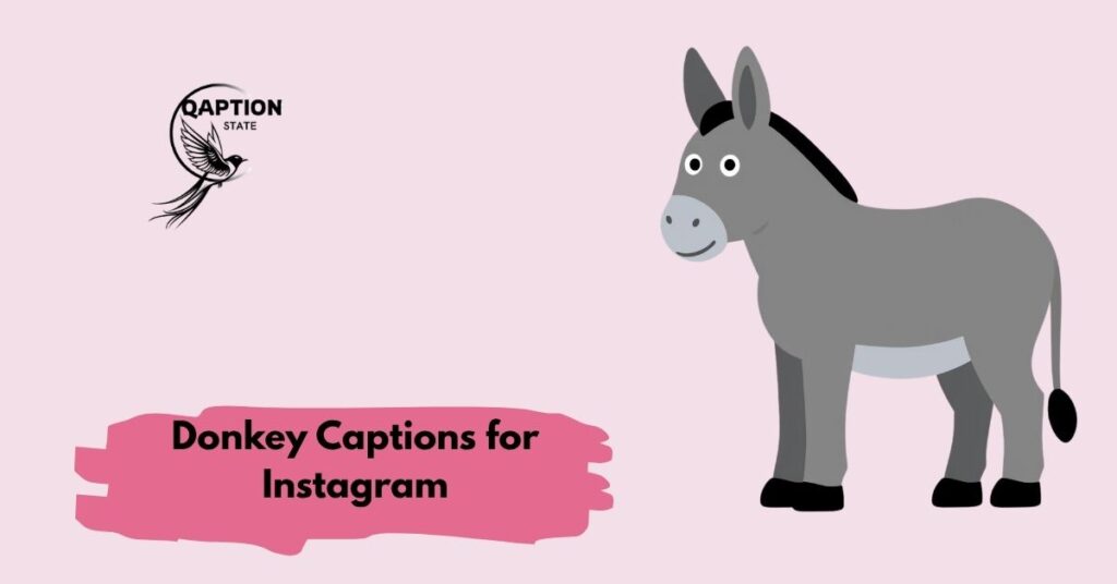 Donkey Captions for Instagram
