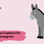 Donkey Captions for Instagram