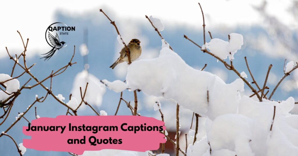 January Instagram Captions and Quotes