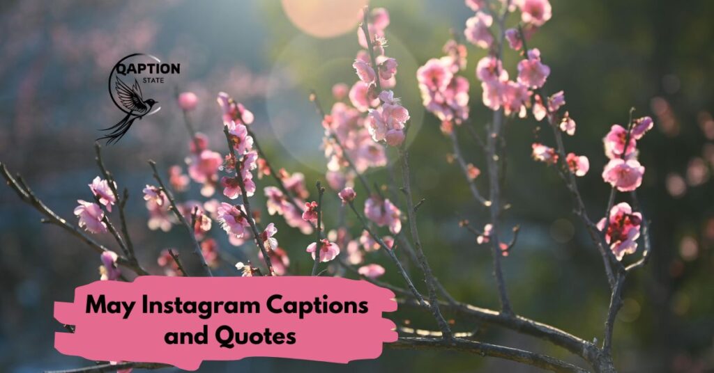 May Instagram Captions and Quotes