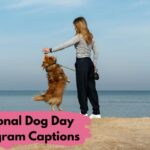 National Dog Day Instagram Captions