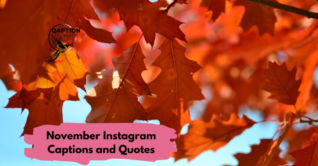November Instagram Captions and Quotes