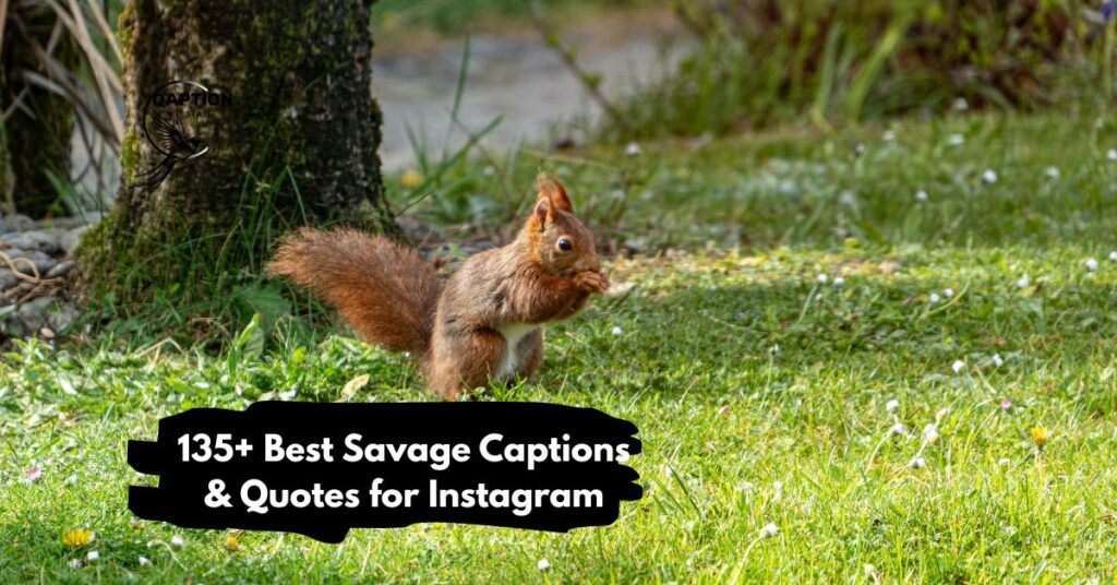 135+ Best Savage Captions & Quotes for Instagram