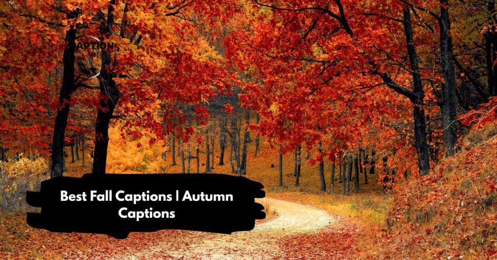 Best Fall Captions | Autumn Captions