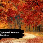 Best Fall Captions | Autumn Captions