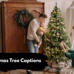 Christmas Tree Captions