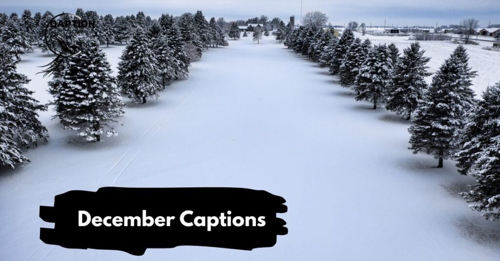 December Captions