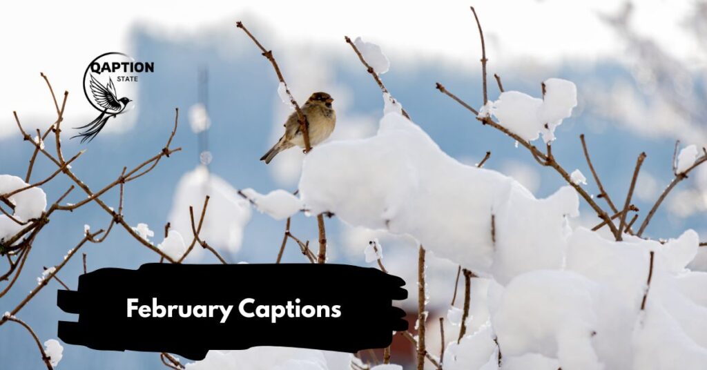 February Captions