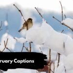 February Captions
