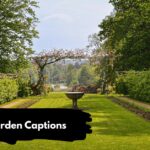 Garden Captions