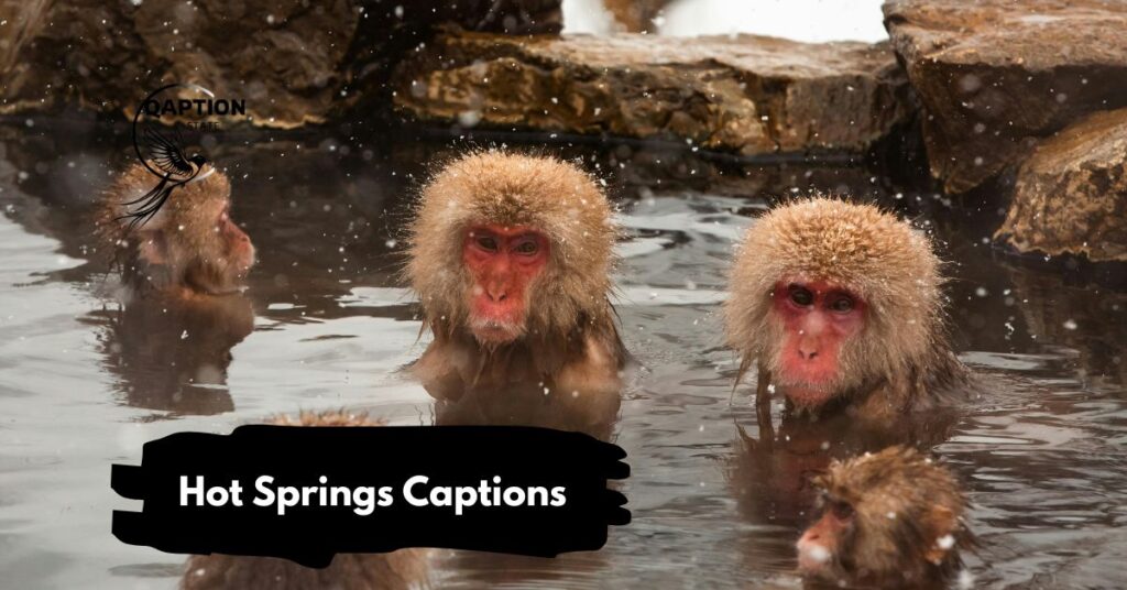 Hot Springs Captions