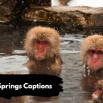 Hot Springs Captions