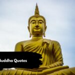 Inspiring Buddha Quotes