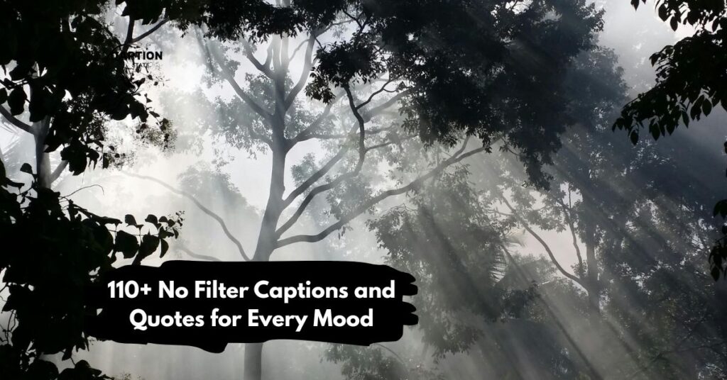 110+ No Filter Captions and Quotes for Every Mood