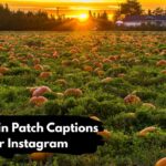 Pumpkin Patch Captions for Instagram