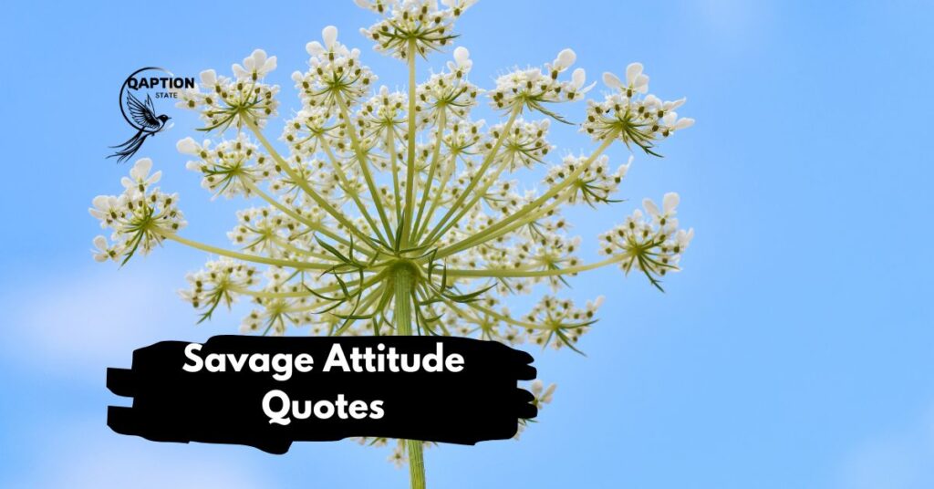Savage Attitude Quotes