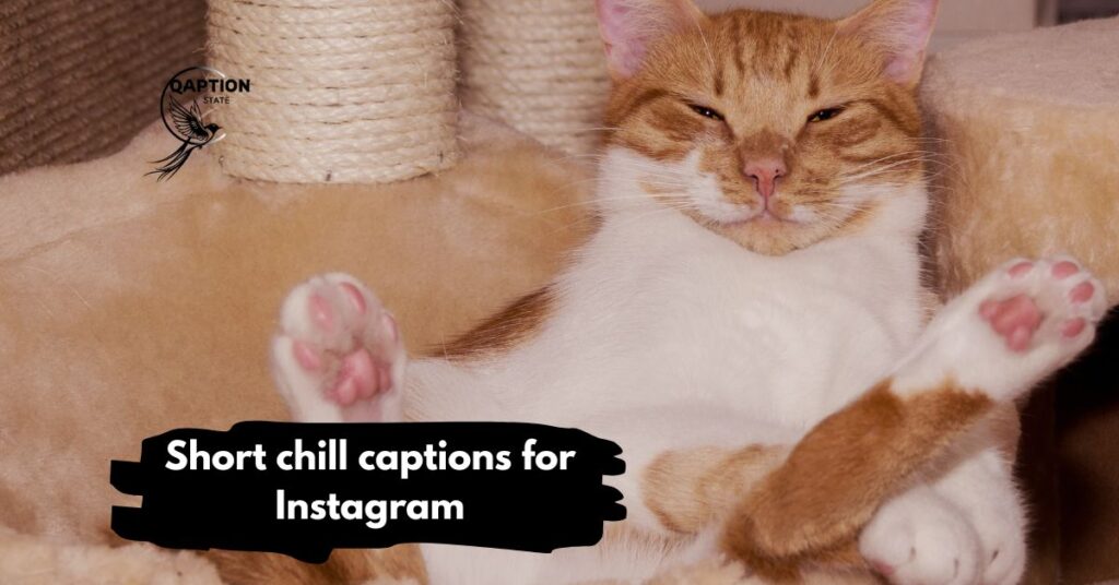 Short chill captions for Instagram