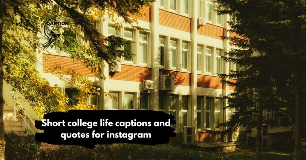 College life captions and quotes for instagram for girl