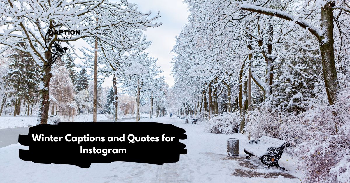 Winter Captions and Quotes for Instagram