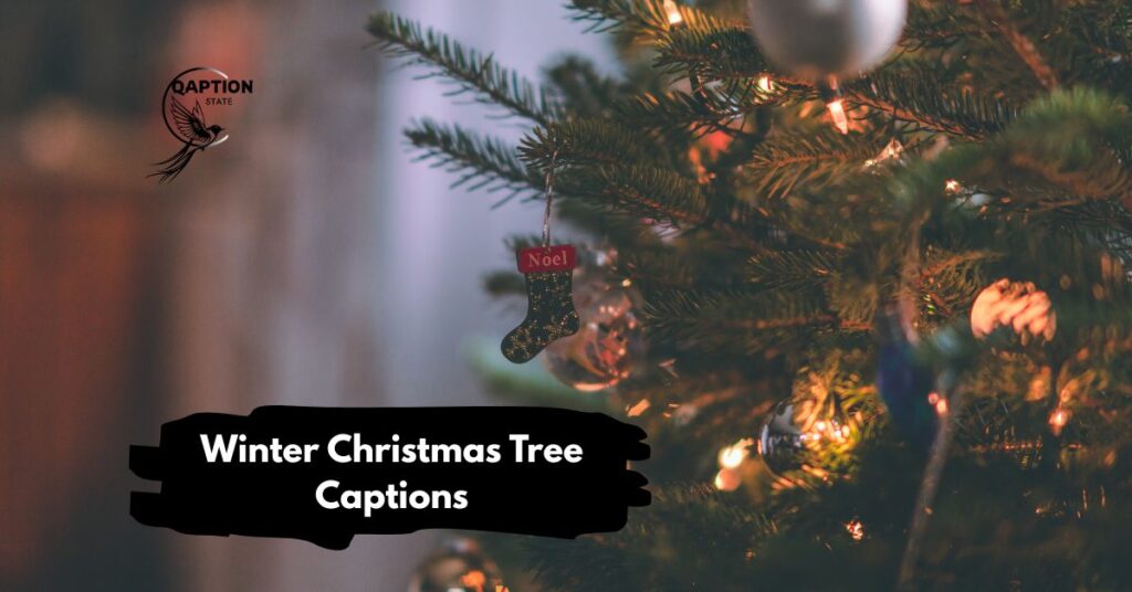 Winter Christmas Tree Captions