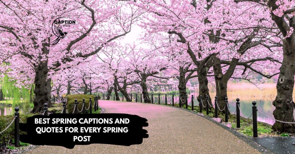 Best Spring Captions and Quotes for Every Spring Post