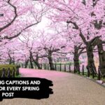 Best Spring Captions and Quotes for Every Spring Post