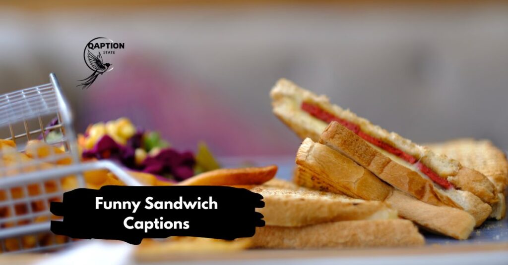 Funny Sandwich Captions