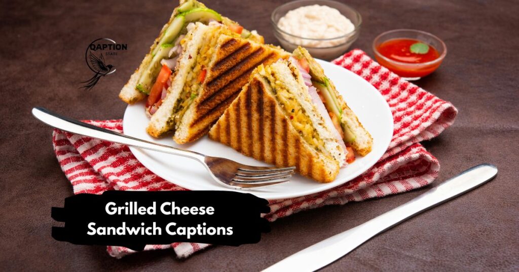 Grilled Cheese Sandwich Captions