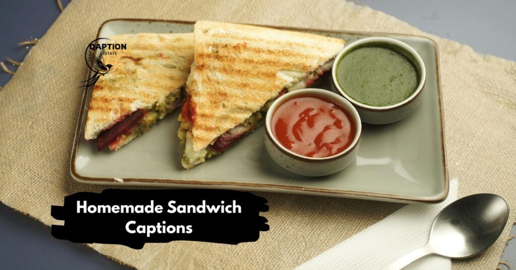 Homemade Sandwich Captions