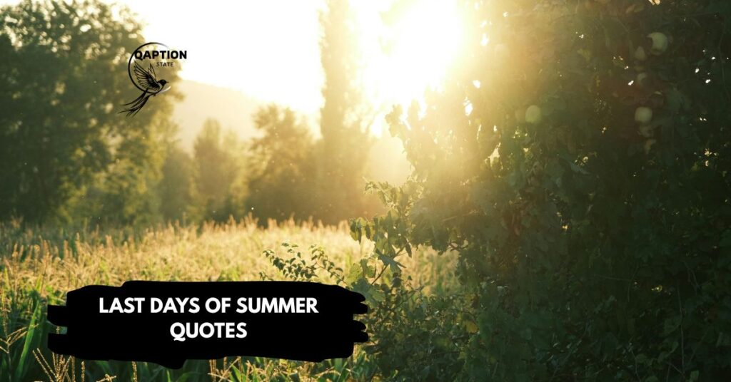Last days of summer quotes