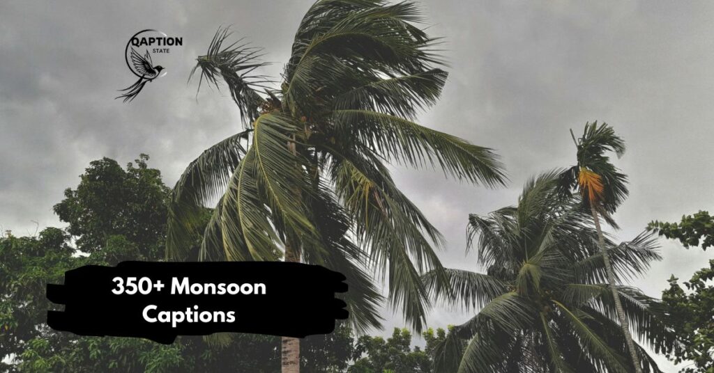 Monsoon Captions
