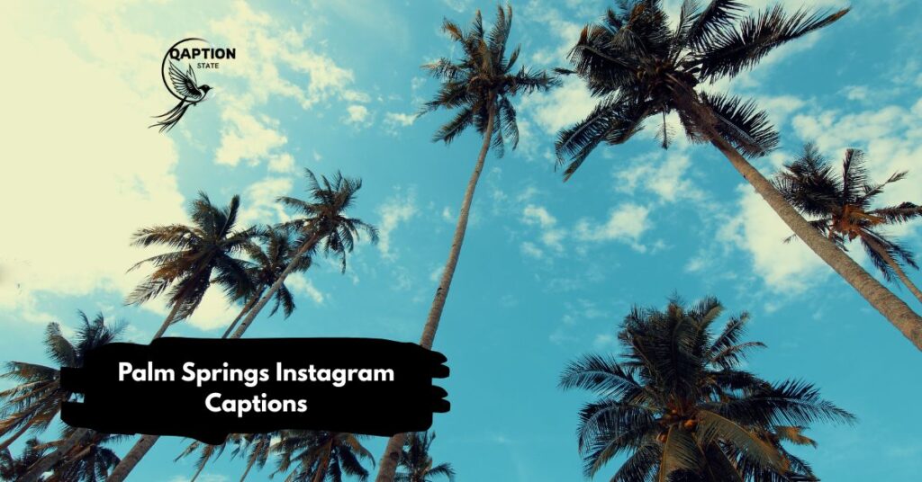 Palm Springs Instagram Captions
