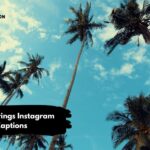 Palm Springs Instagram Captions