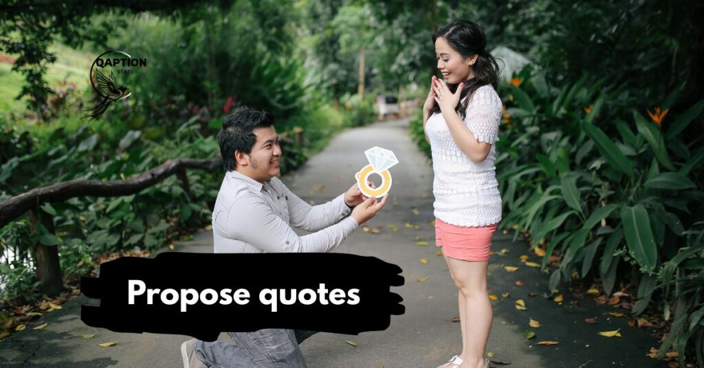 Propose quotes