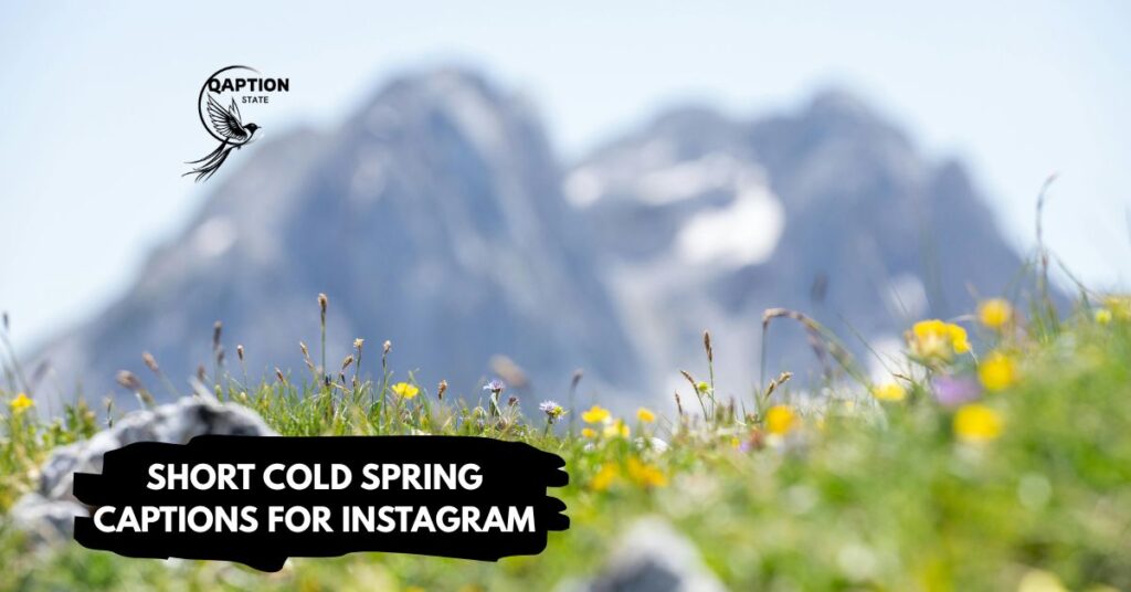 Short cold spring captions for instagram