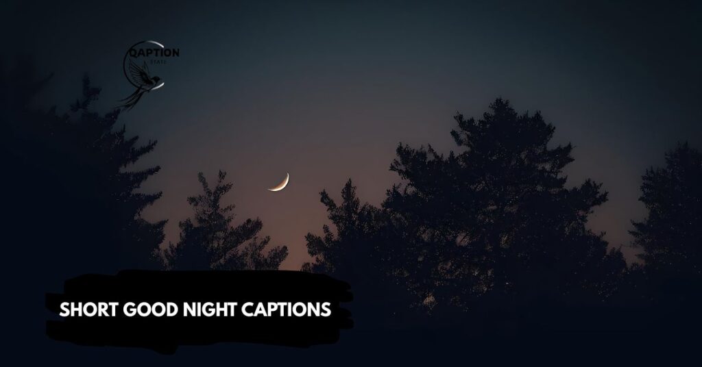 Short good night captions