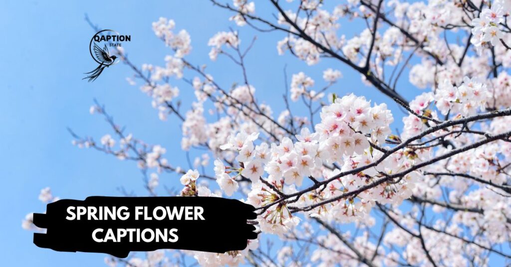 Spring Flower Captions