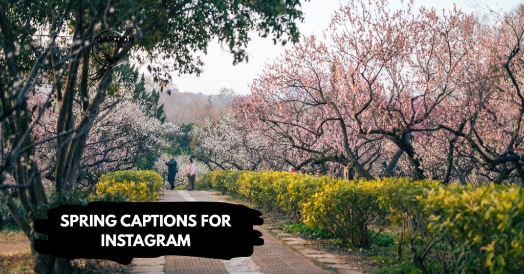 Spring captions for instagram